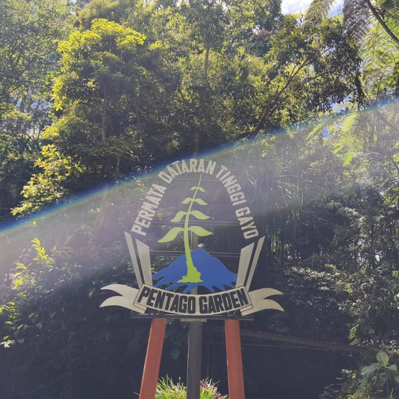 Pentago Garden : Permata Dataran Tinggi Gayo Semakin Digemari Wisatawan