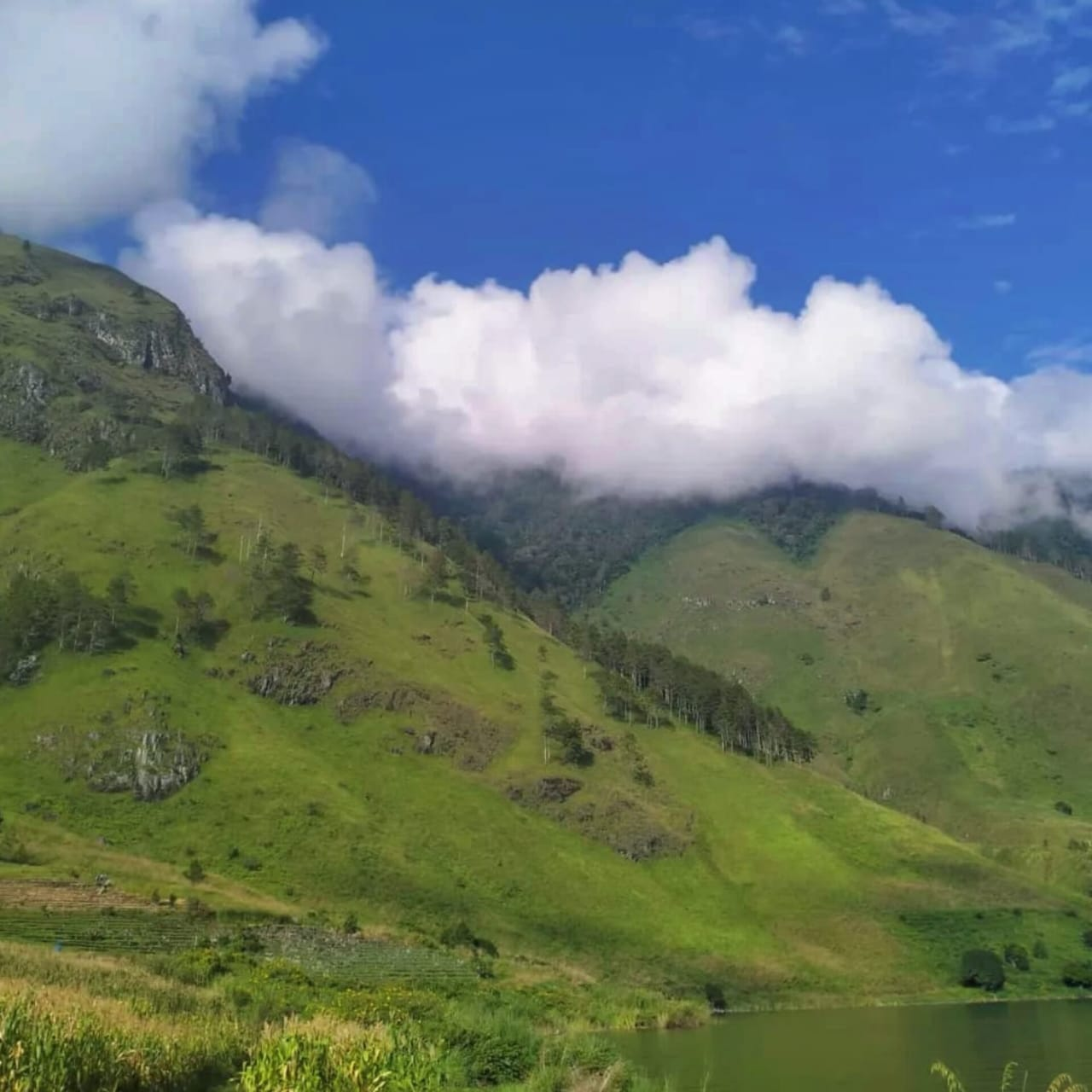 WhatsApp_Image_2025-07-18_at_23_47_26_(1).png